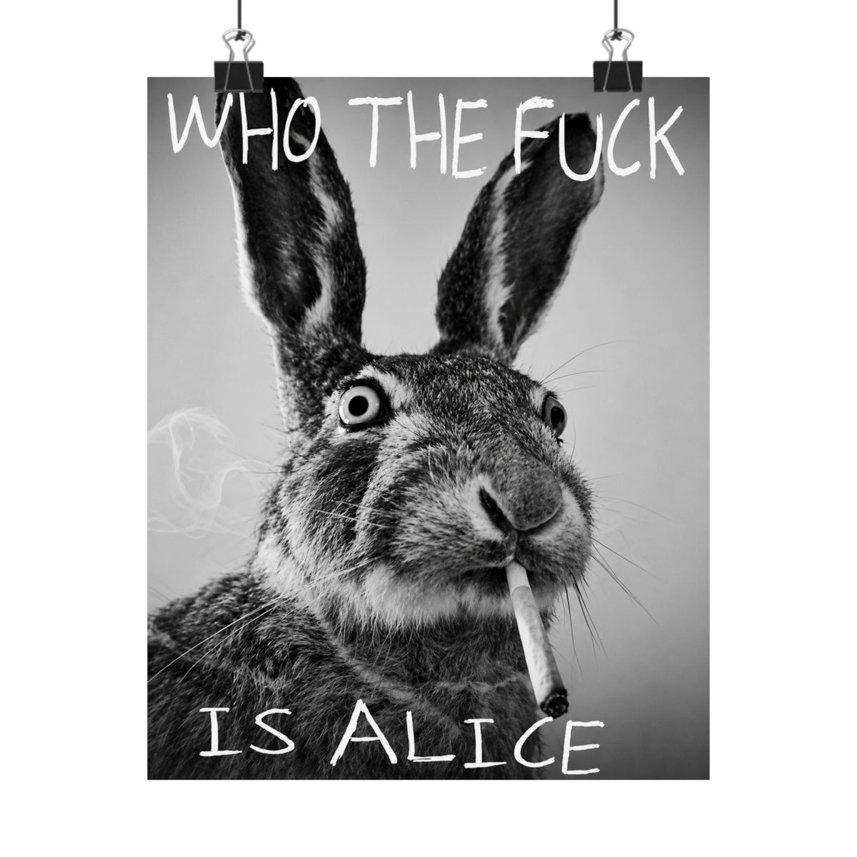 Who TF is Alice | Matte Vertical Wall Art, Funny Profanity Typography