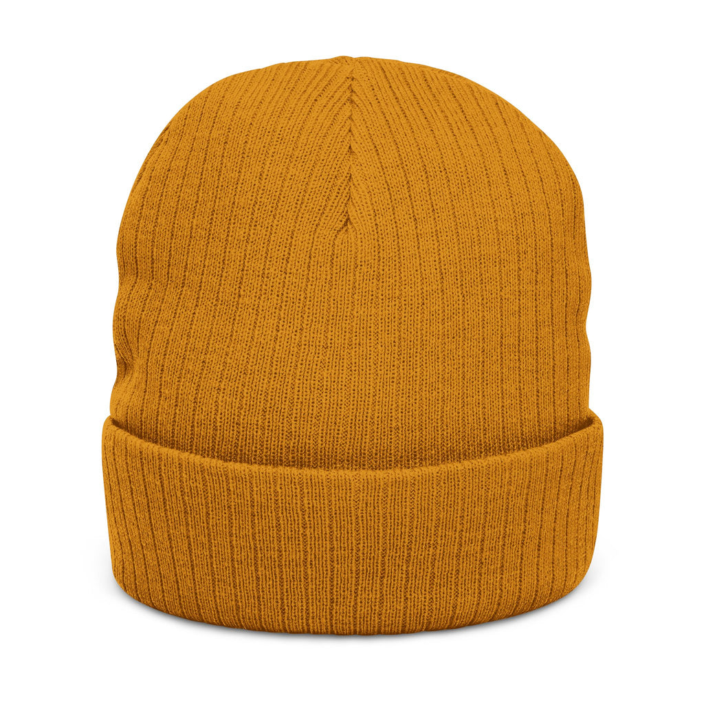 Las Malvinas Son Argentinas Beanie | Embroidered Ribbed Knit